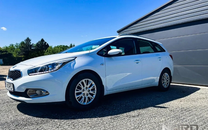 Kia Ceed cena 41500 przebieg: 111230, rok produkcji 2013 z Gogolin małe 407